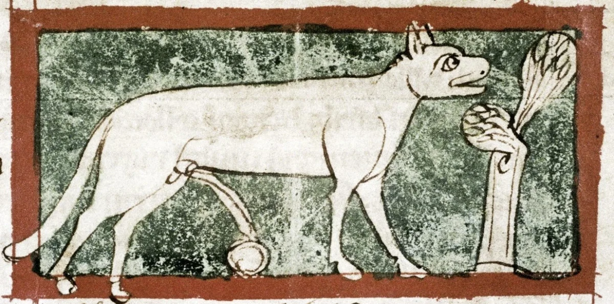 Изображение рыси в английском бестиарии XIII века
